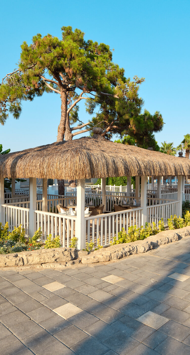 Fashiontv Luxe Resort Gastronomi Marelea Sea Food Banner M