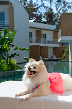 Fashiontv Luxe Resort Anasayfa Slider Card3